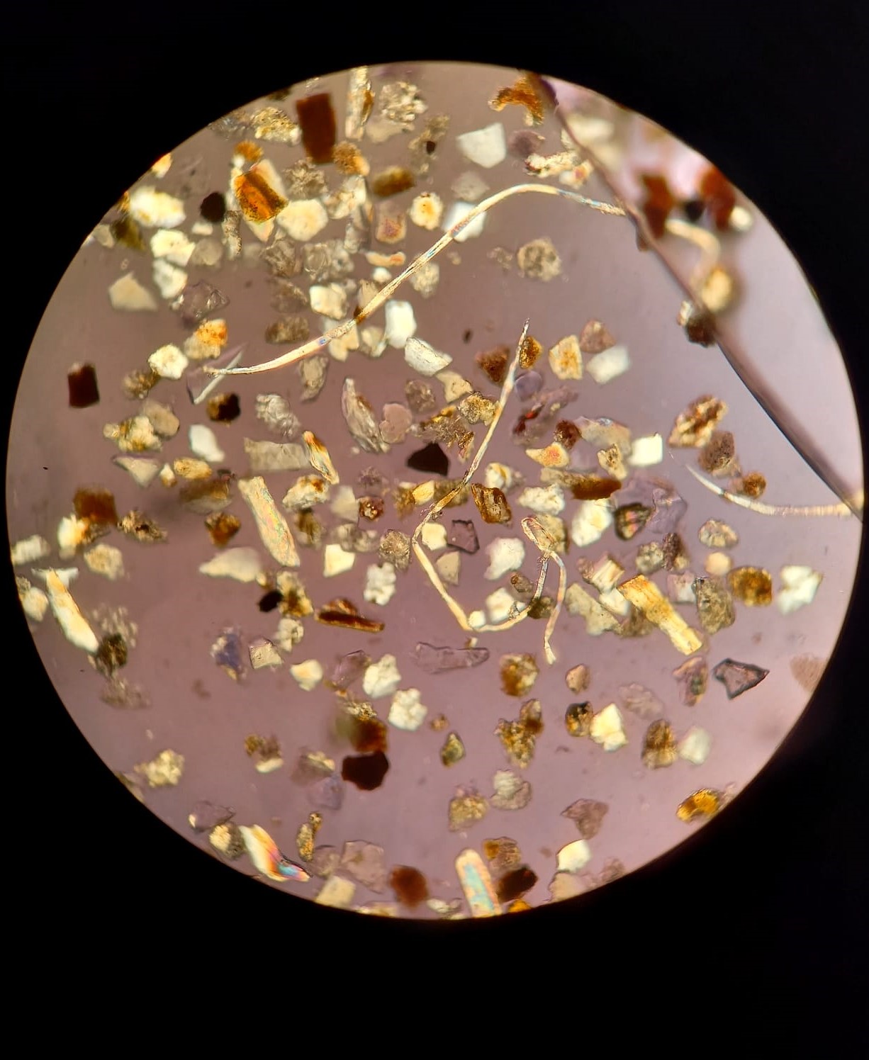 imagen microscópica de suelo